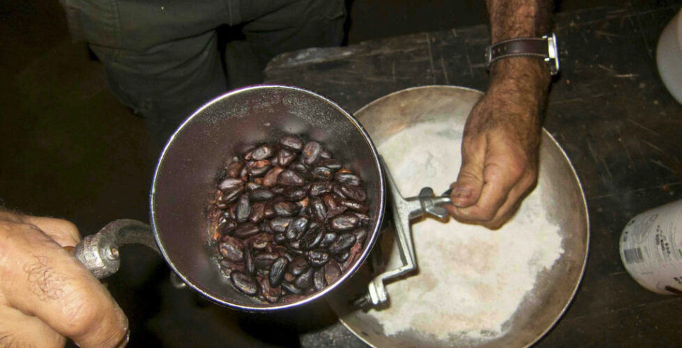 CioccolataNosyKomba_2