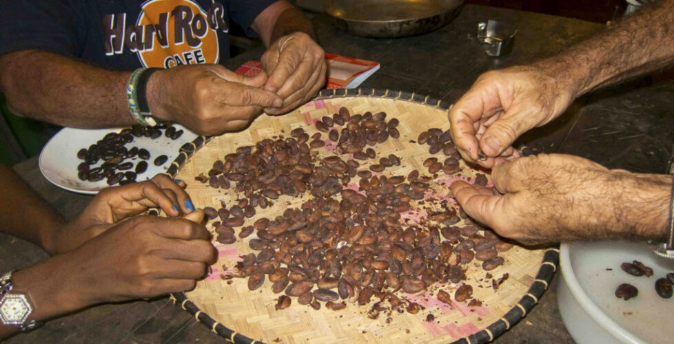 CioccolataNosyKomba_3 CioccolataNosyKomba_3
