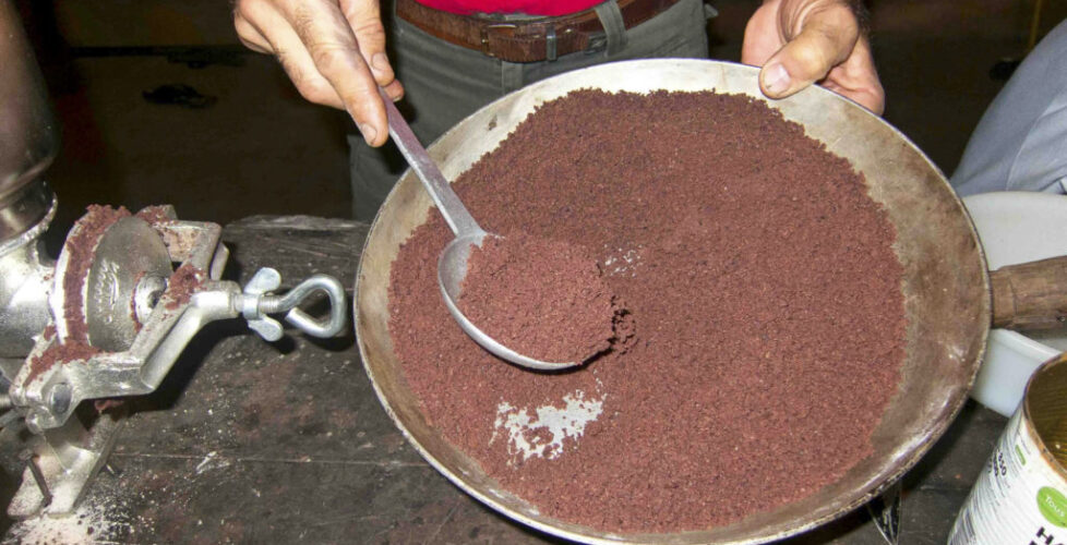 CioccolataNosyKomba_5 CioccolataNosyKomba_5