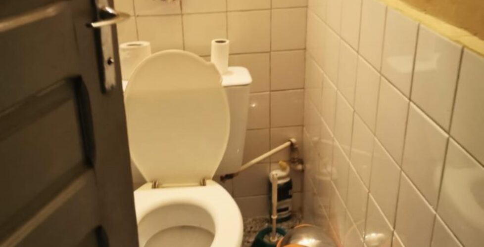 IMG-20191116-WA0015