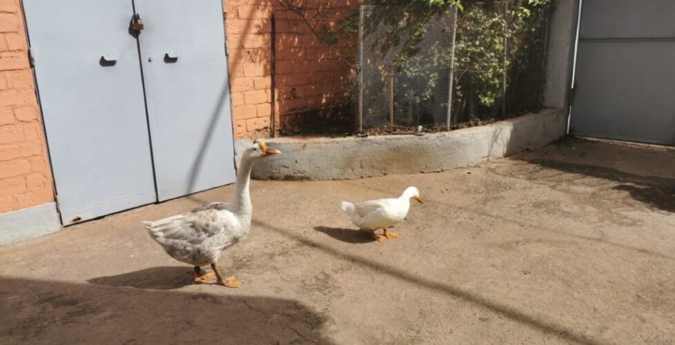 IMG-20191117-WA0012