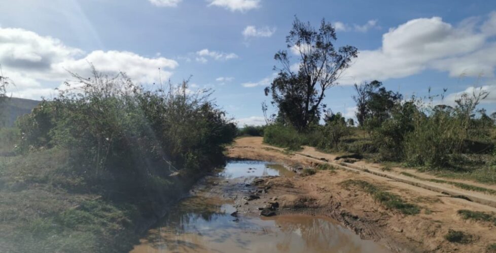 IMG-20191126-WA0012